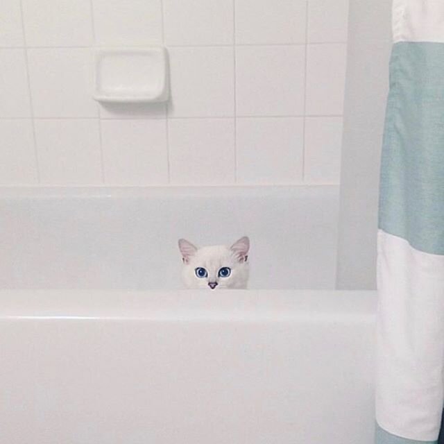 Anything this bathtub can do my tongue can do better. #tbt