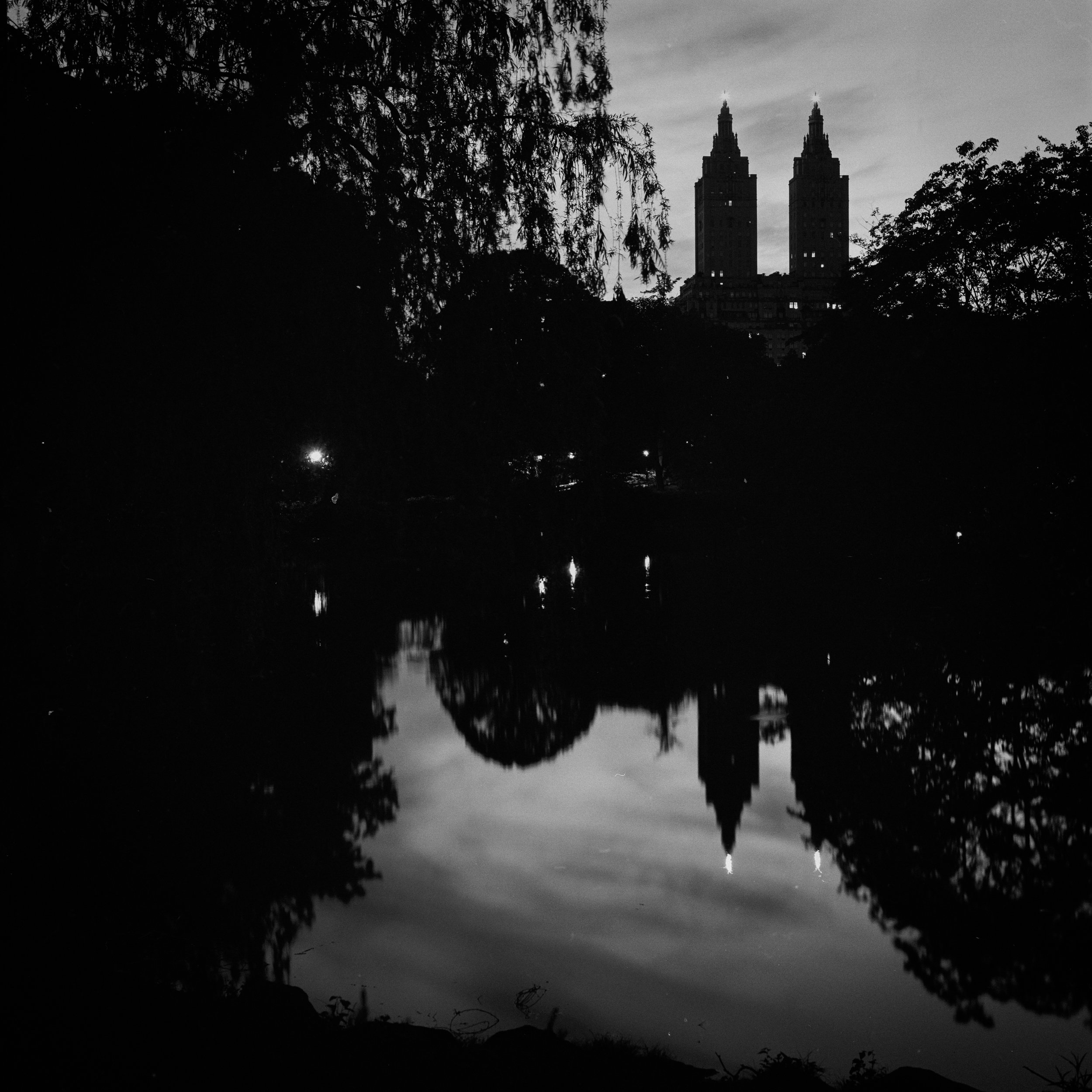 centralpark-2.jpg