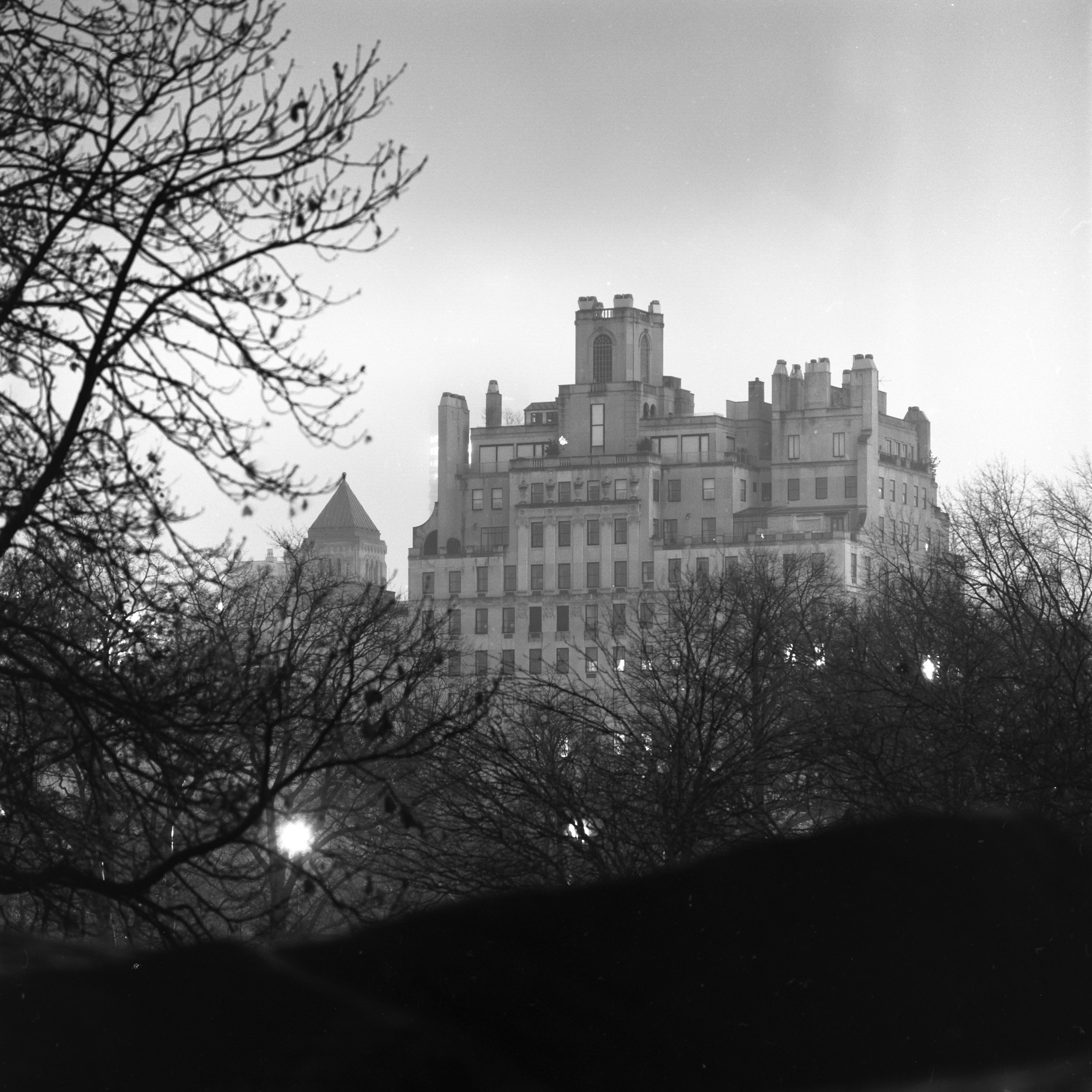 centralpark-7.jpg