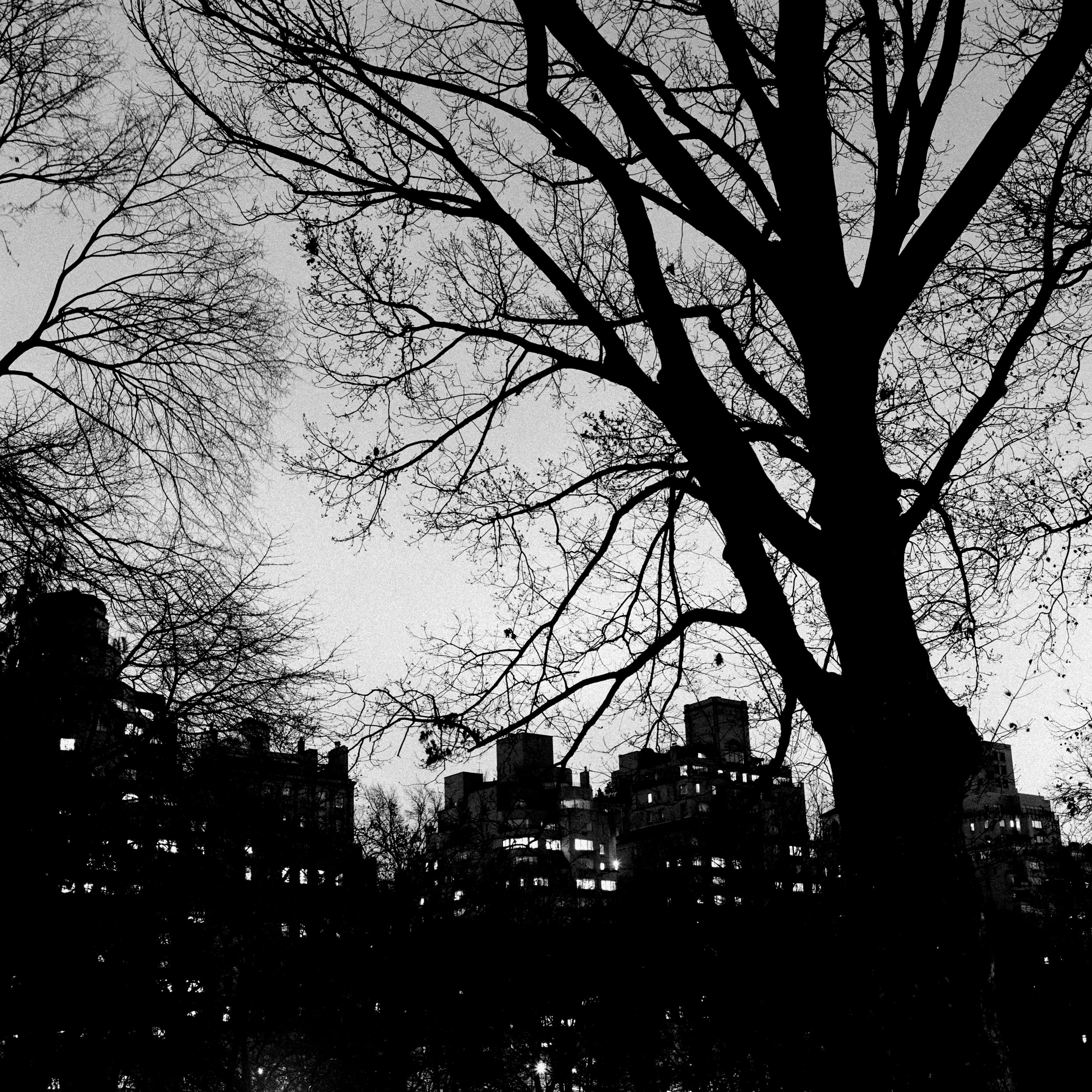 centralpark-22.jpg