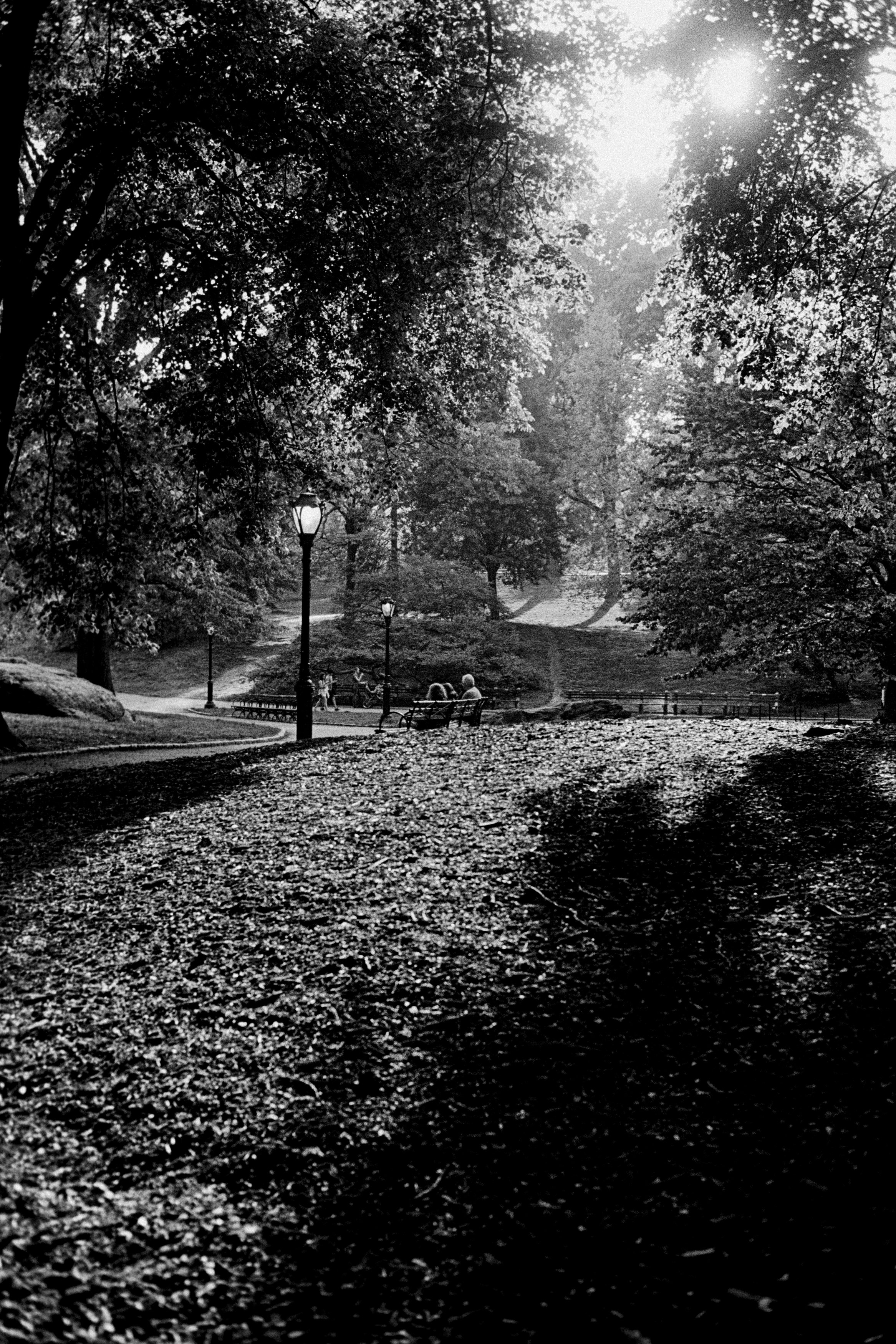 centralpark-37.jpg