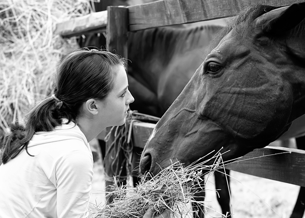 TRUEGAIT_EQUINEbw.jpg
