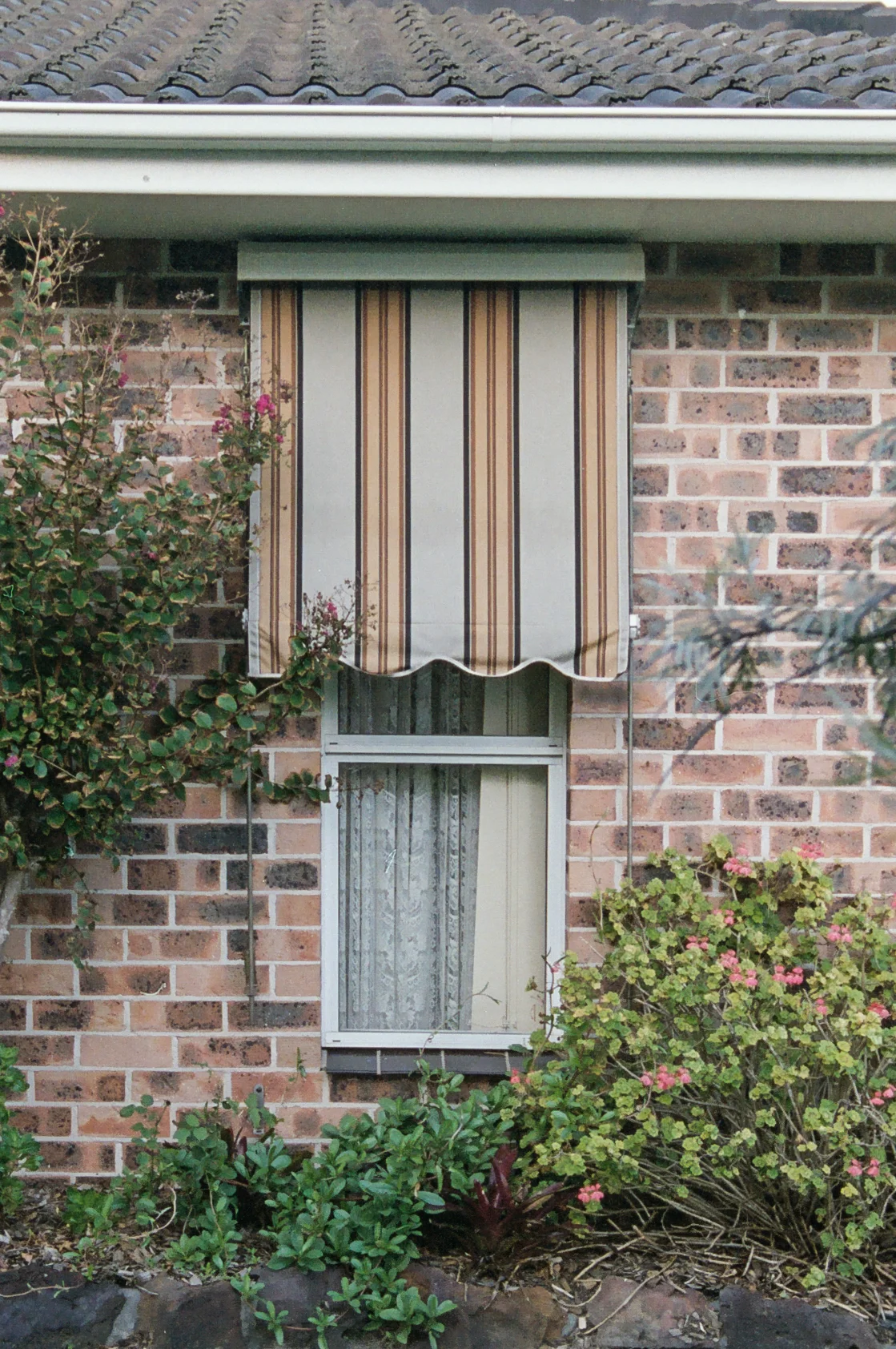 suburbia_edit-27.jpg