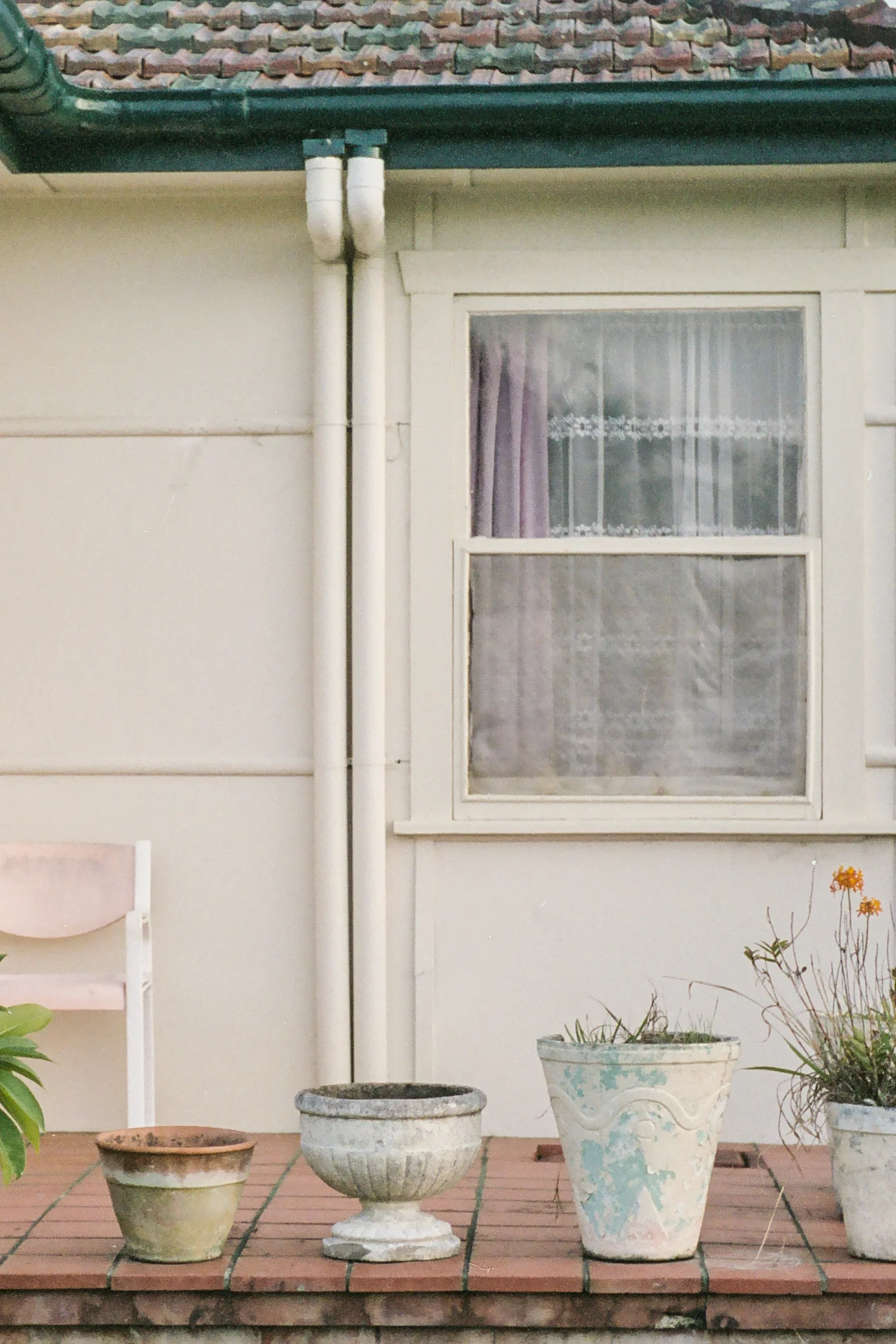 suburbia_edit-32.jpg