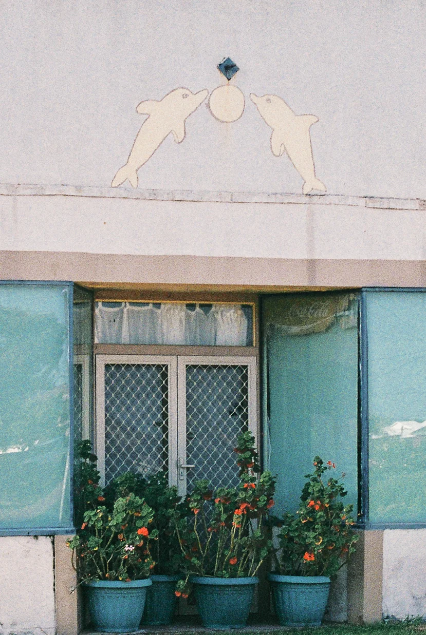 suburbia_edit-42.jpg