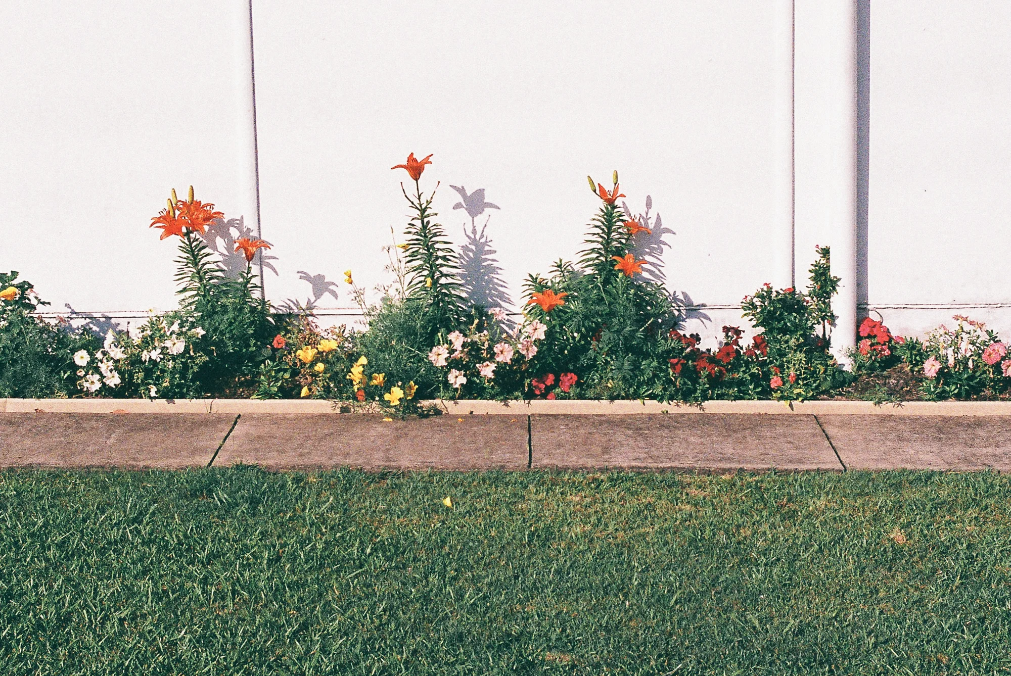 suburbia_edit-52.jpg