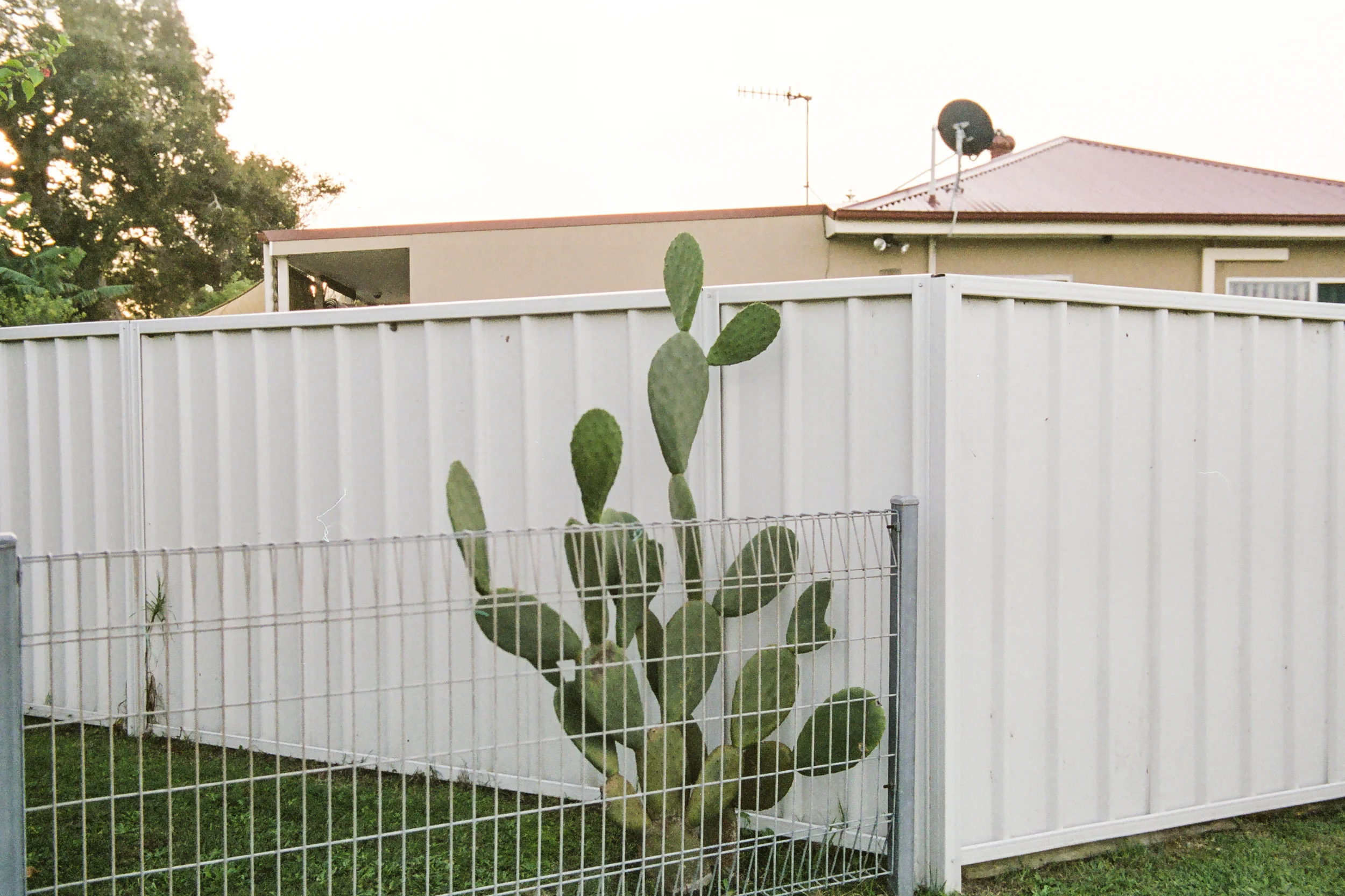 suburbia_edit-1.jpg