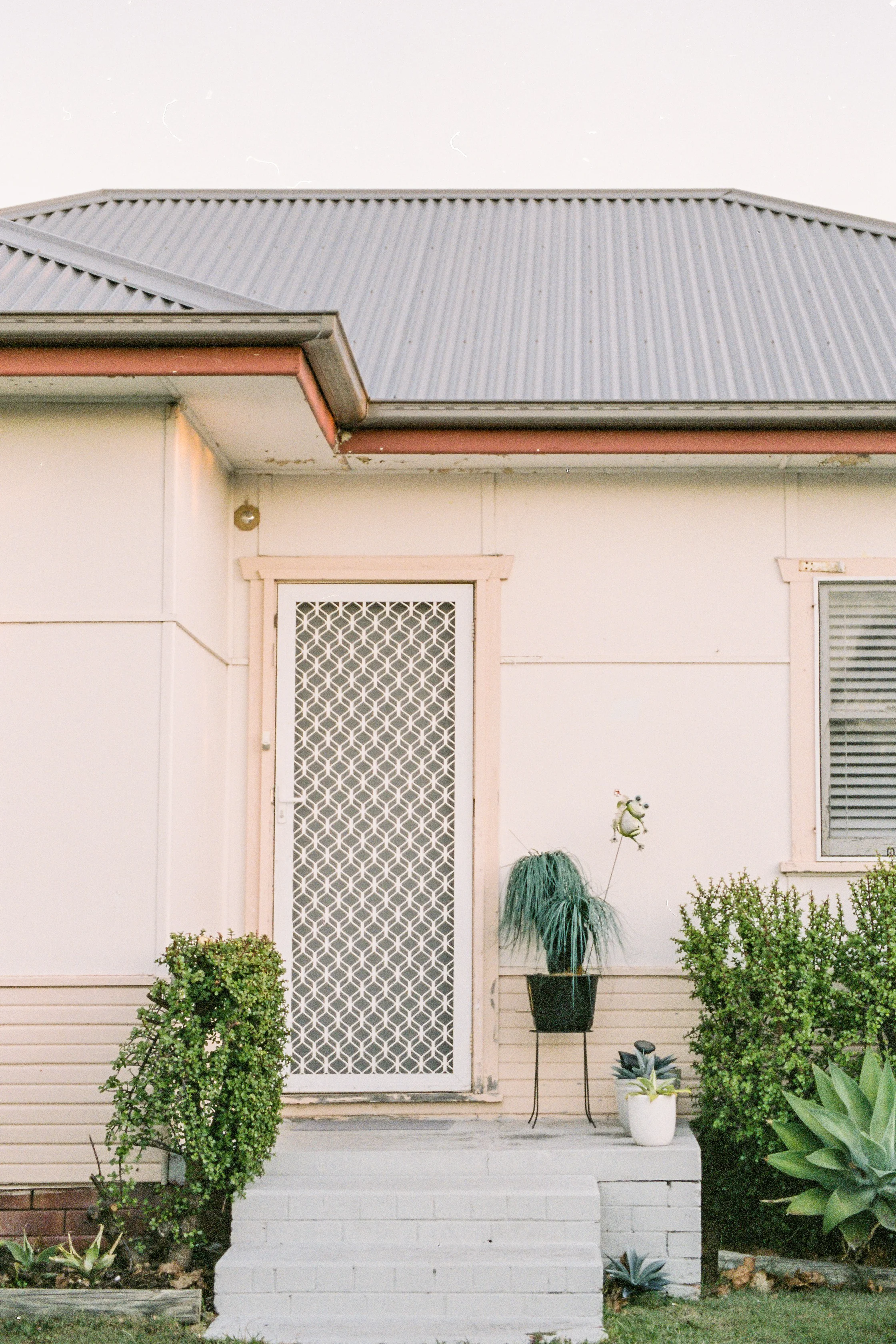 suburbia_edit-168.jpg