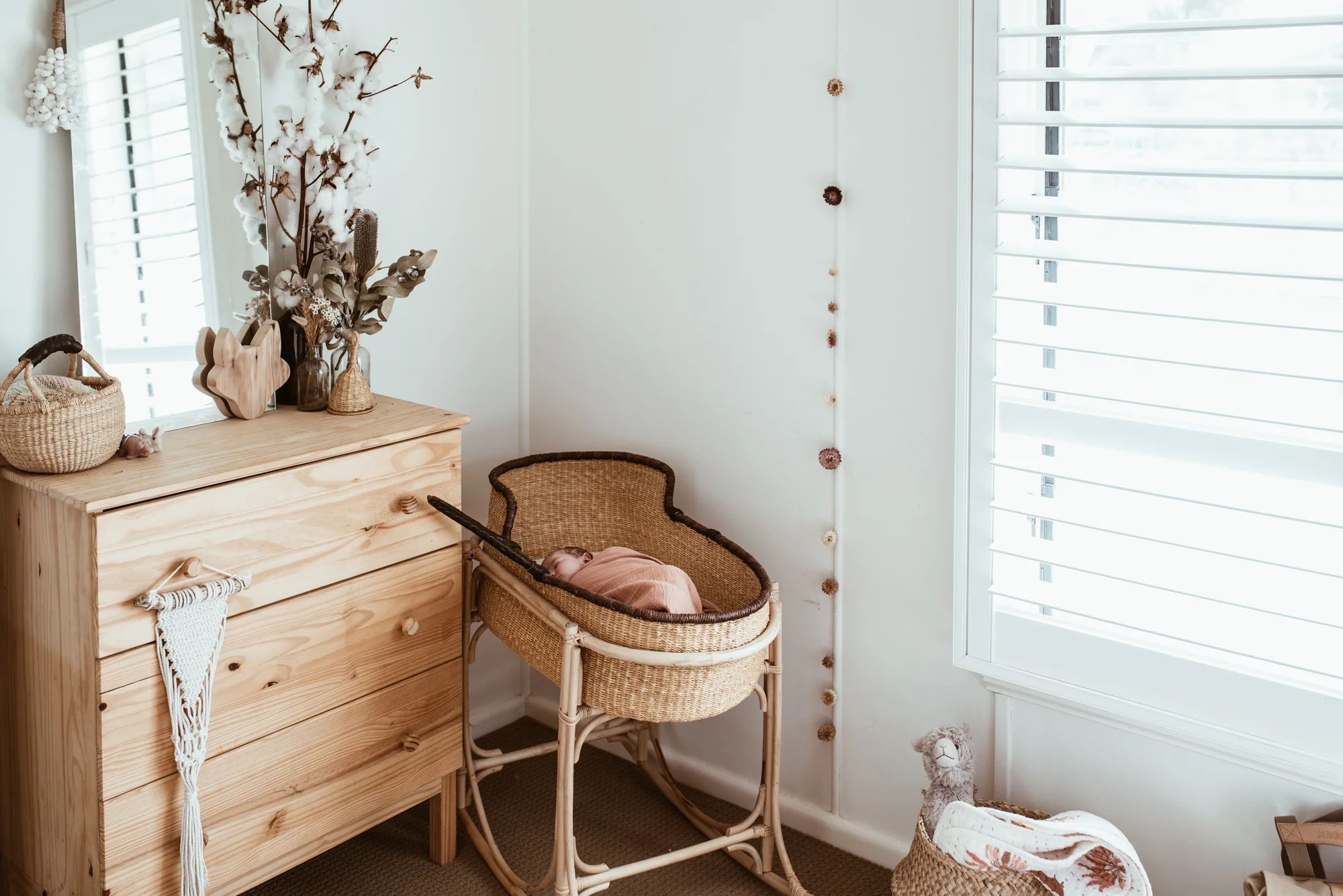 Baby_Pippa_LR-21.jpg