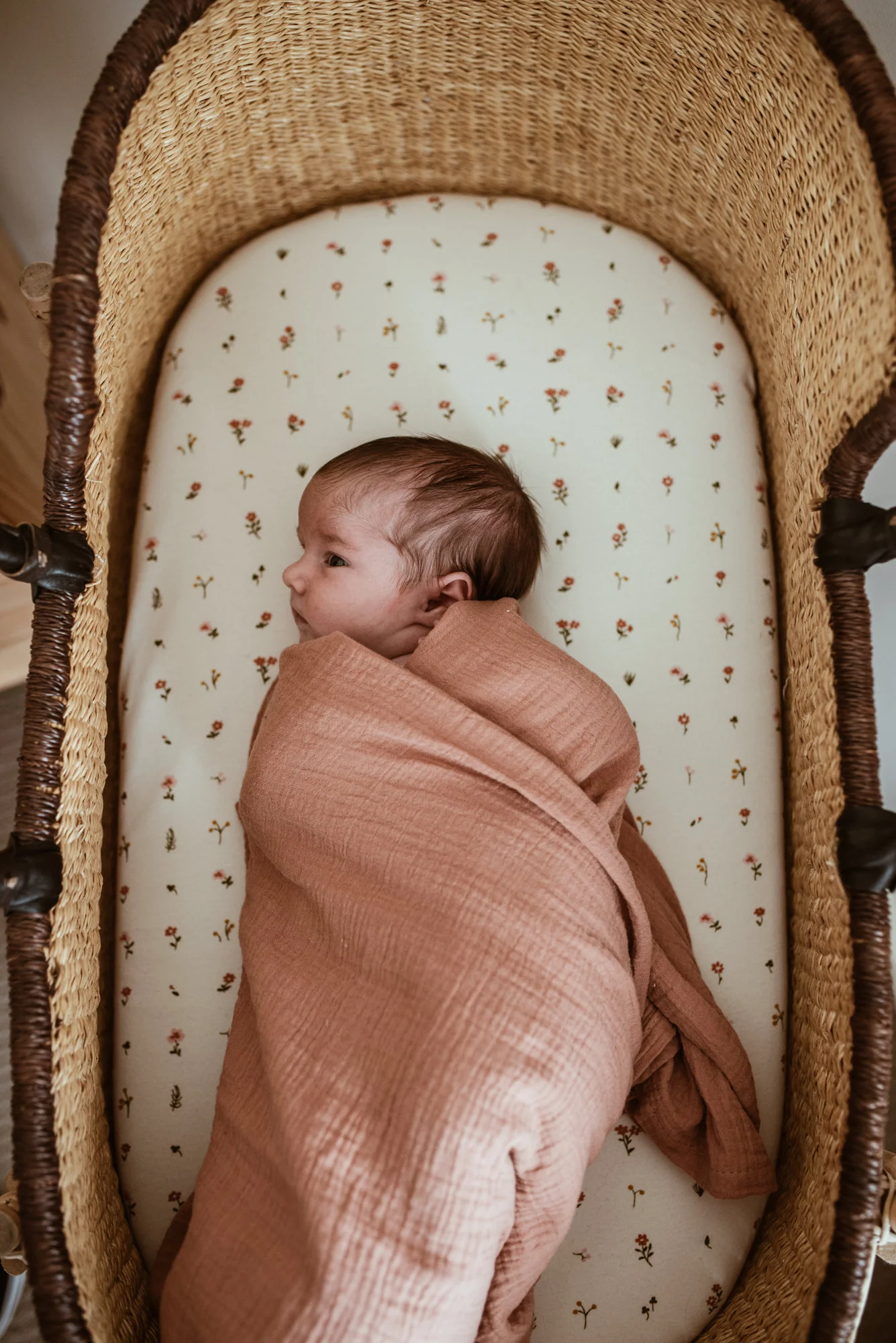 Baby_Pippa_LR-24.jpg