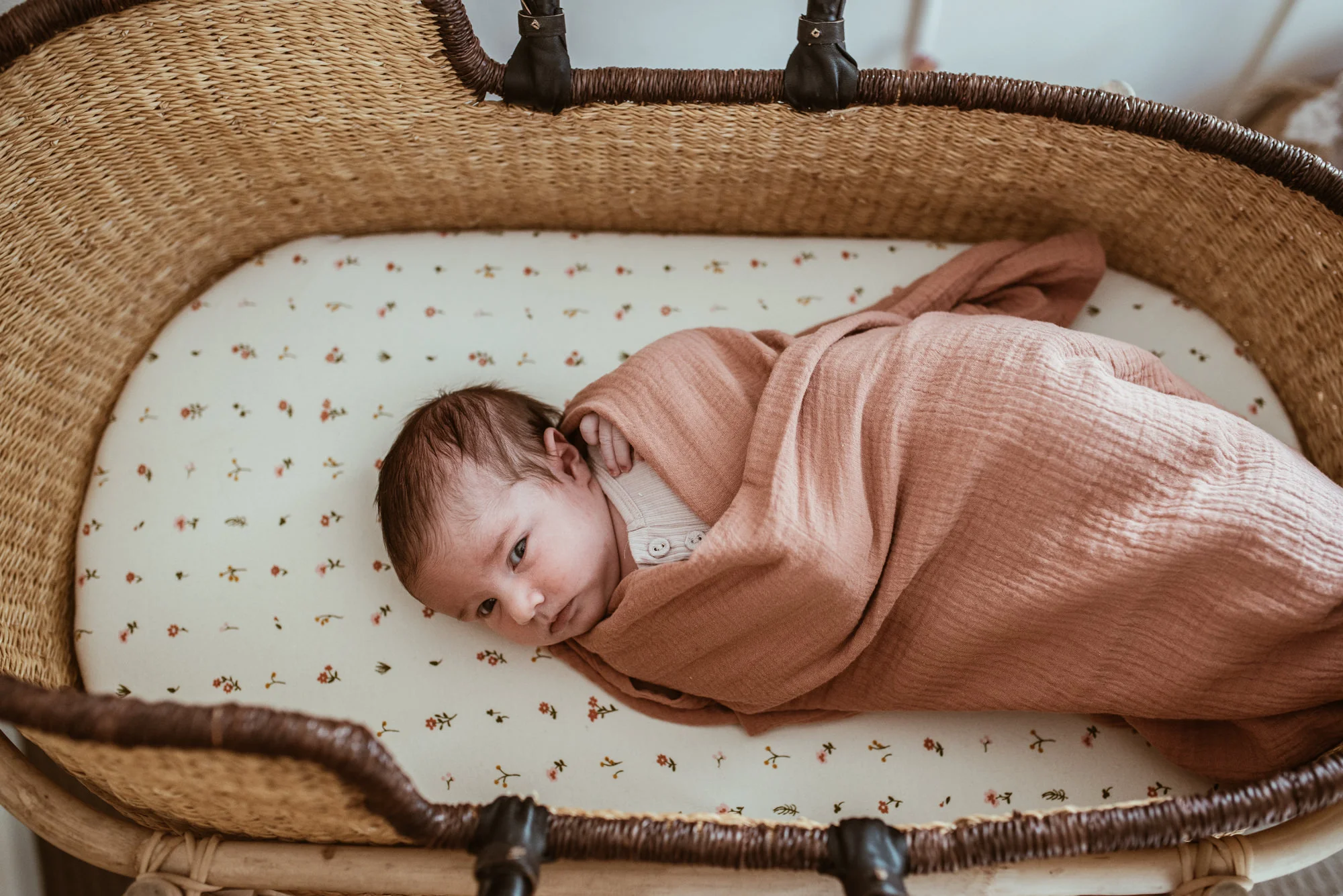 Baby_Pippa_LR-30.jpg