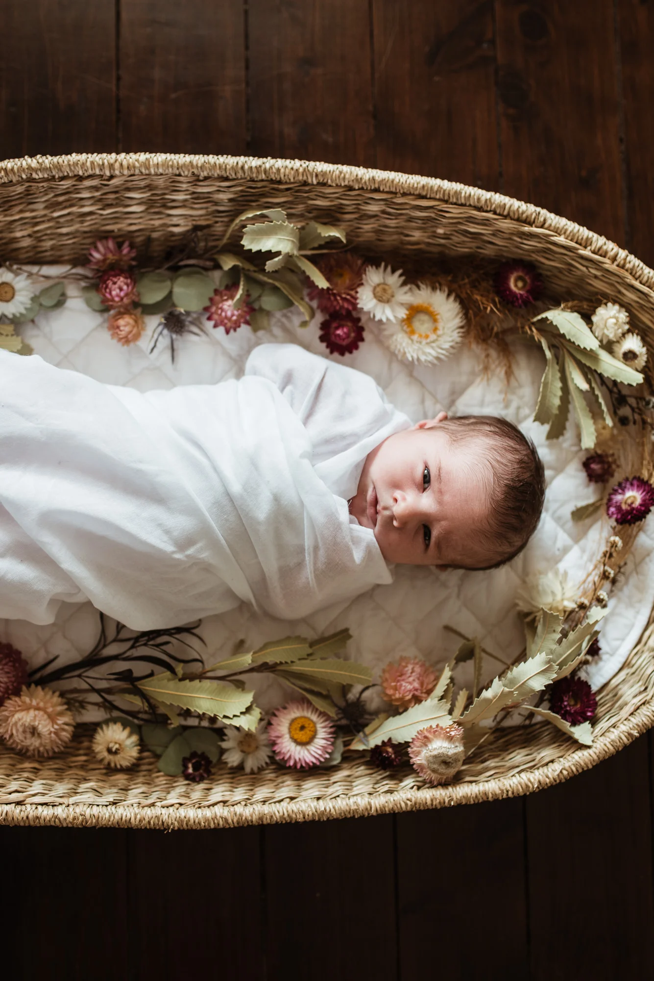 Baby_Pippa_LR-41.jpg