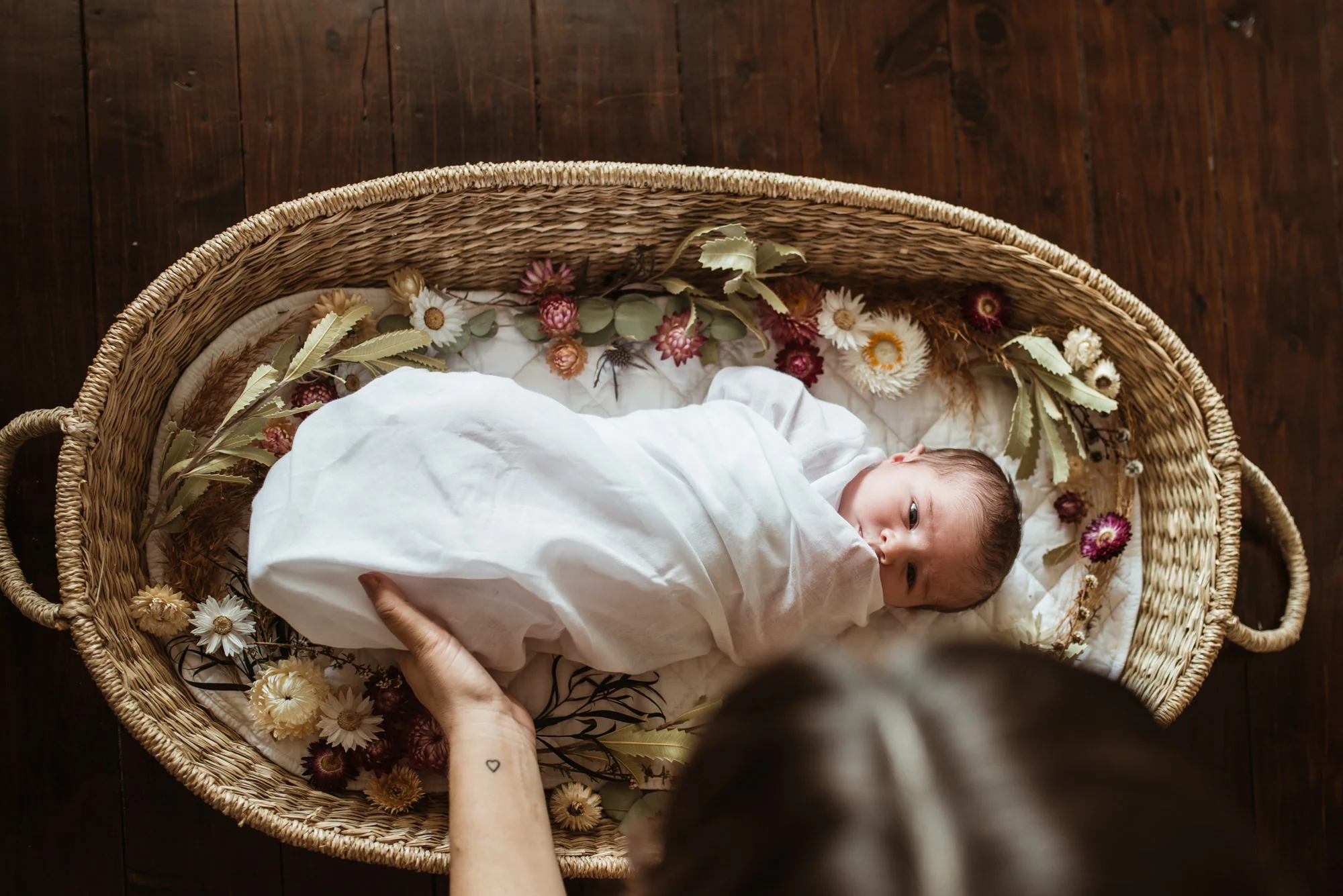 Baby_Pippa_LR-42.jpg
