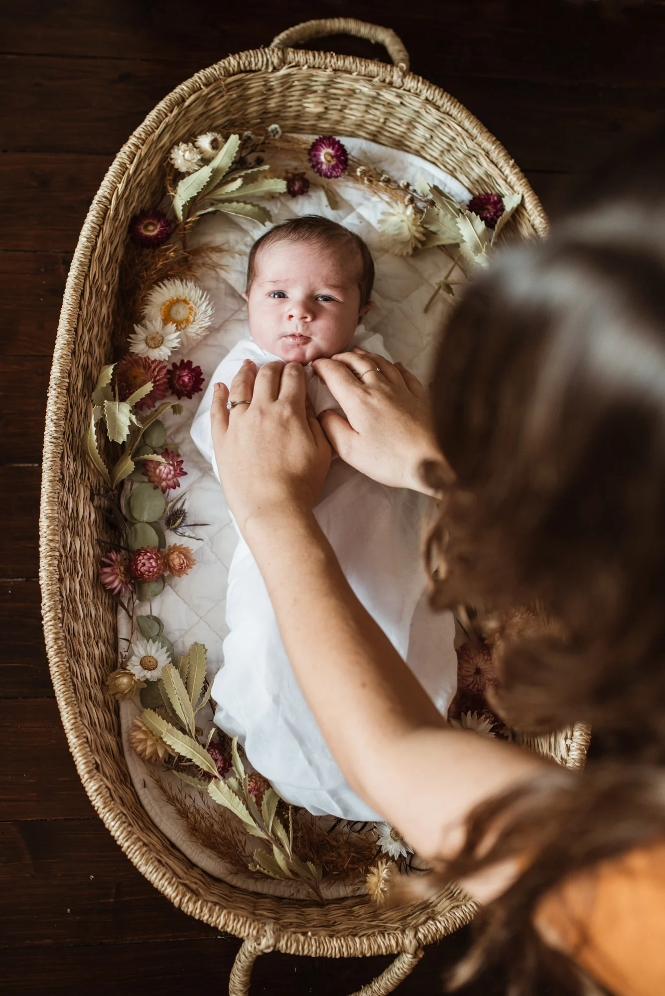 Baby_Pippa_LR-44.jpg