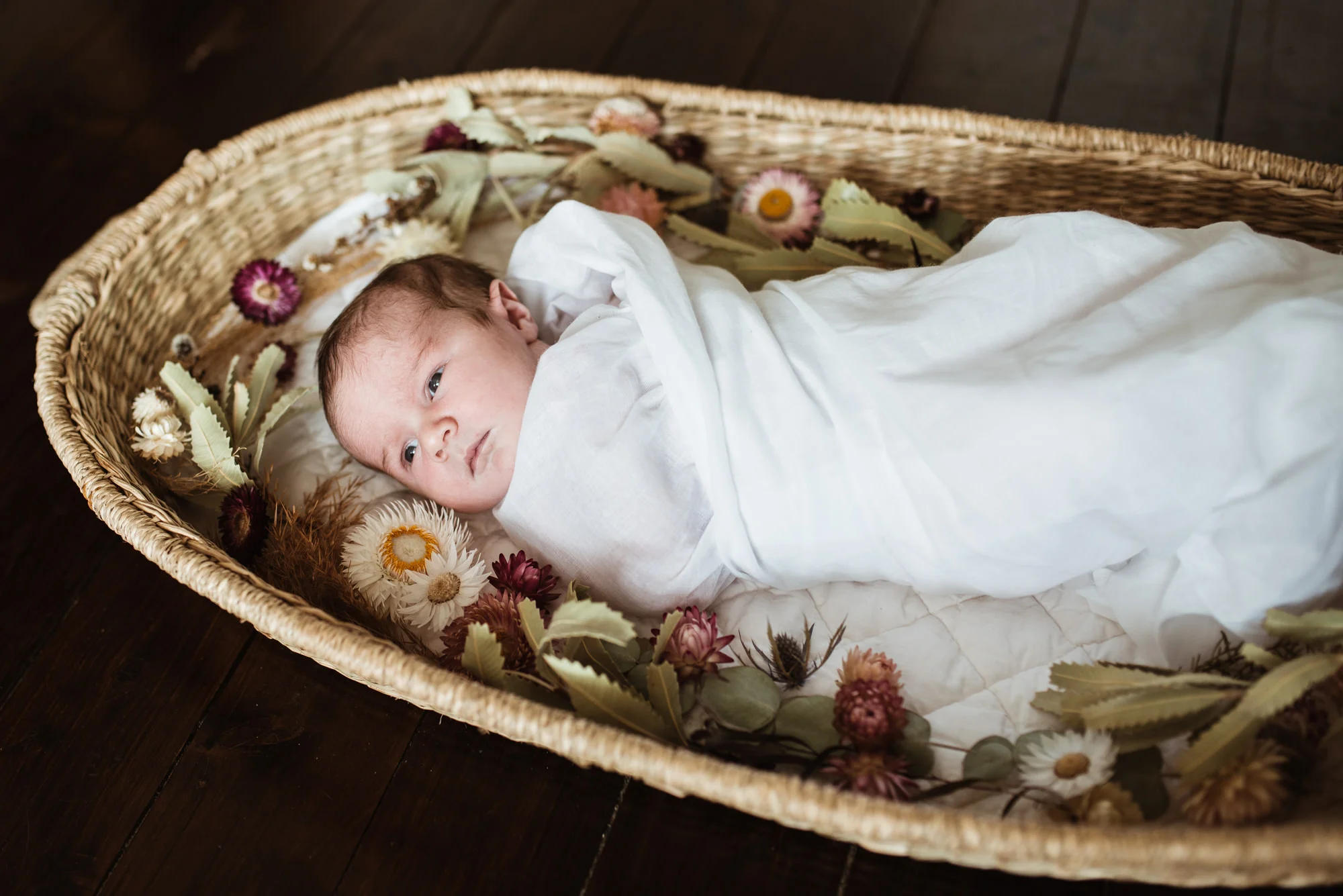 Baby_Pippa_LR-47.jpg