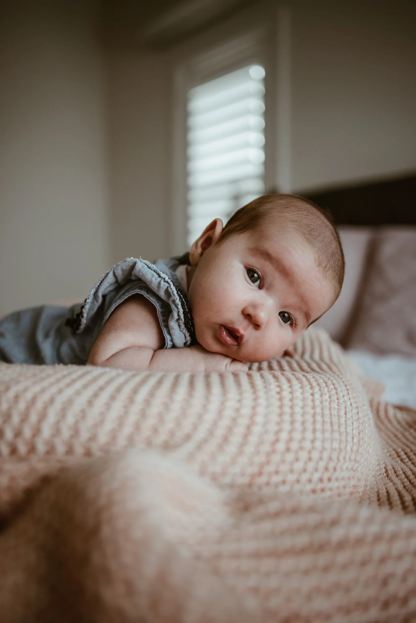 The_Fitzpatricks_March2018_LR-524.jpg