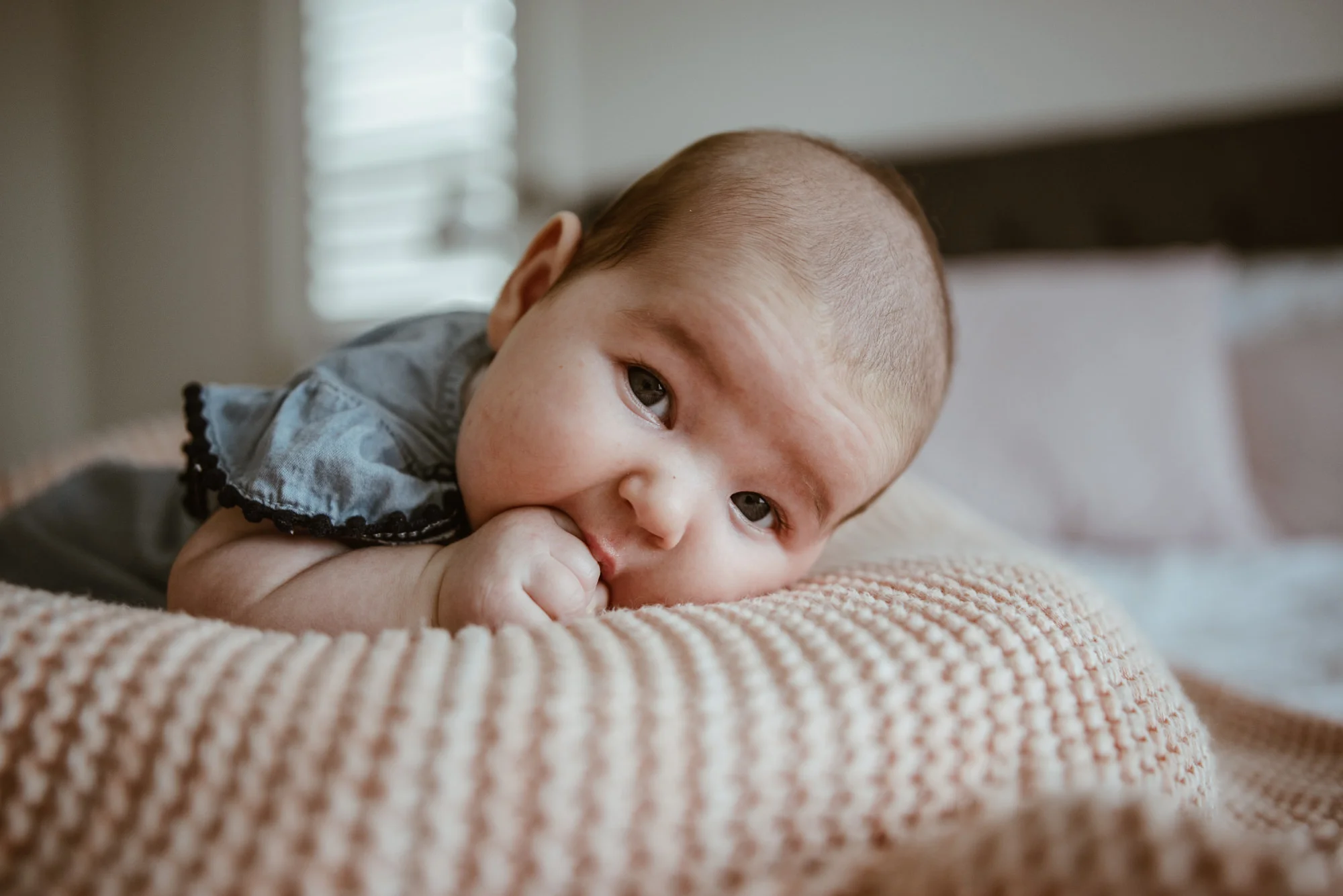 The_Fitzpatricks_March2018_LR-540.jpg
