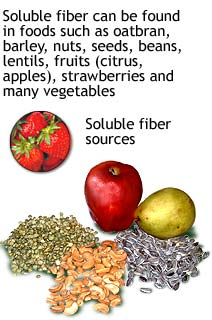 Soluble Fiber slows down digestion...