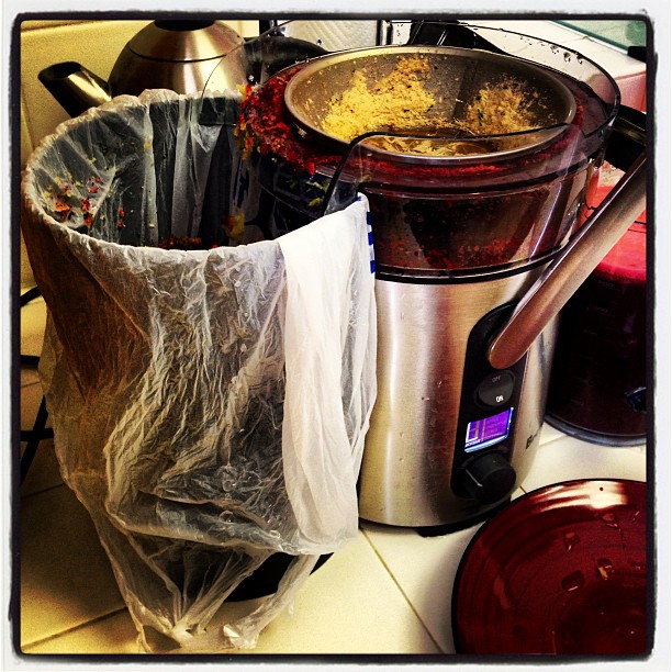 Line your Pulp Container with a Plastic Bag