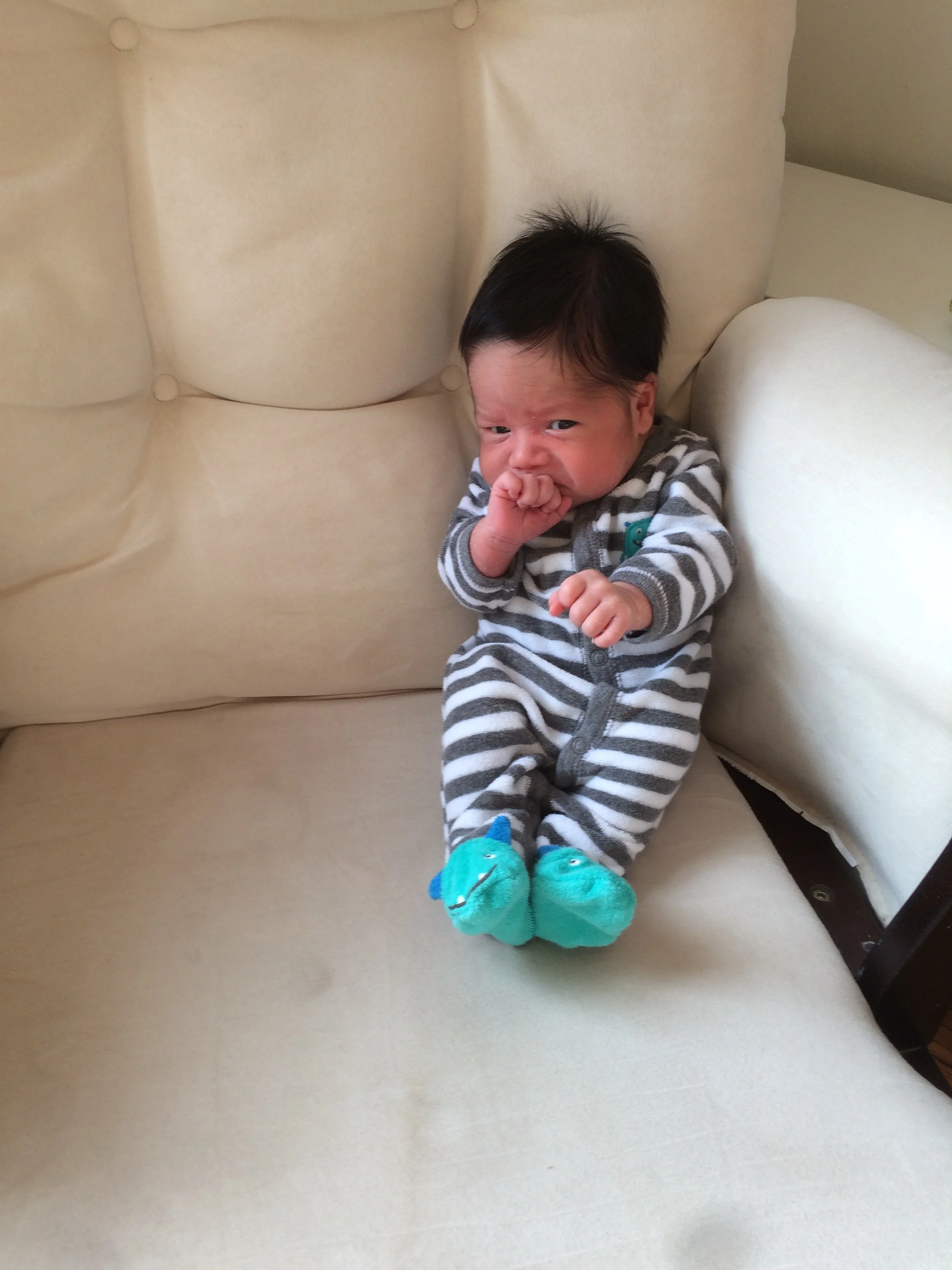 2 Weeks Old
