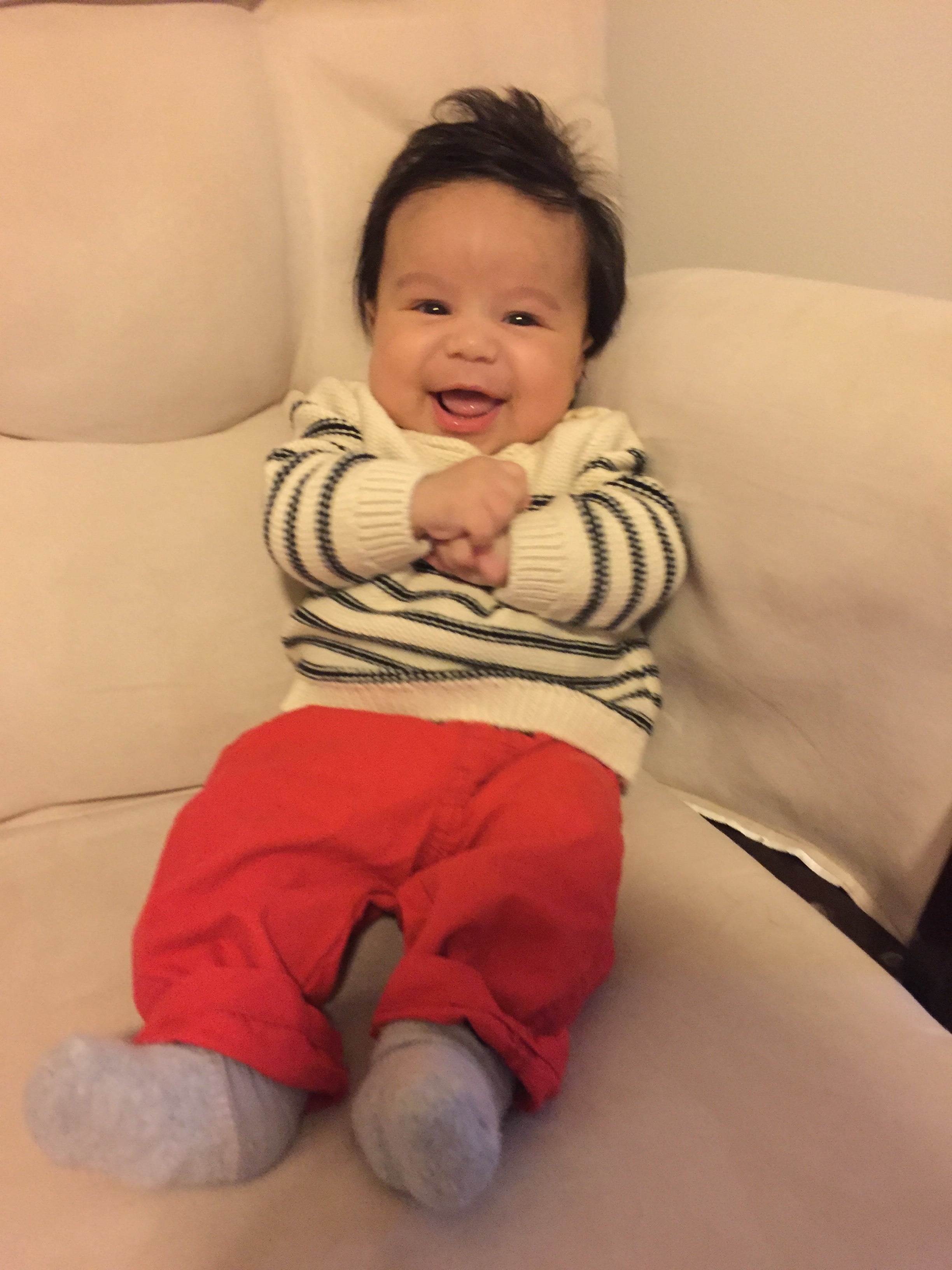 11 weeks old