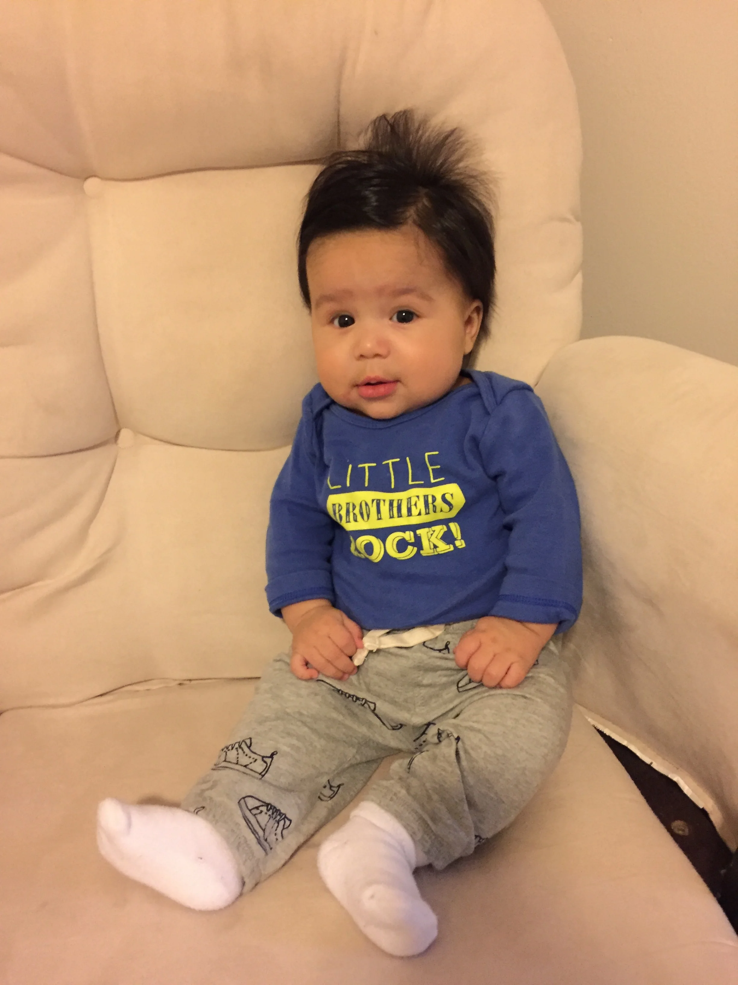 17 weeks old