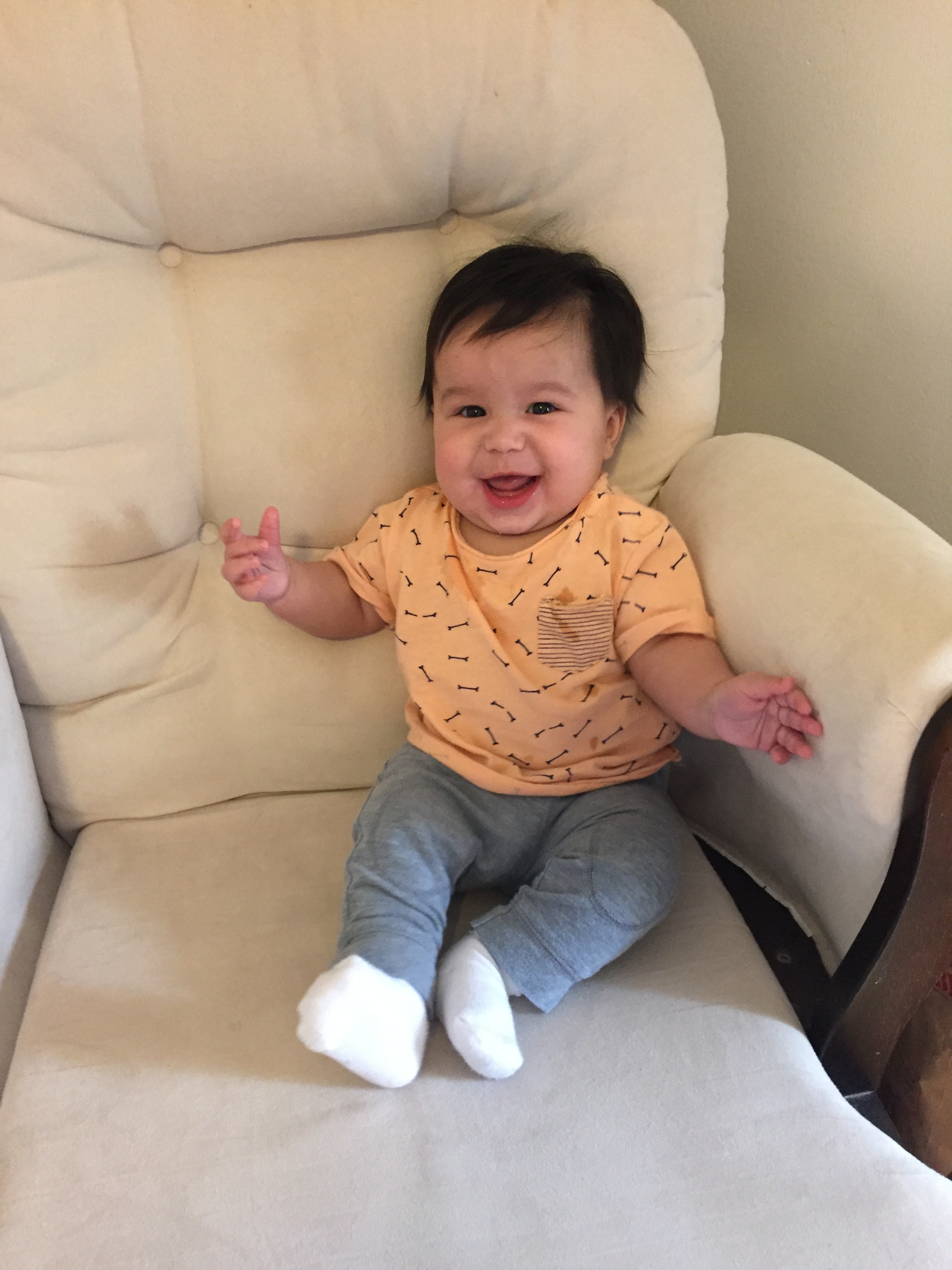 24 weeks old