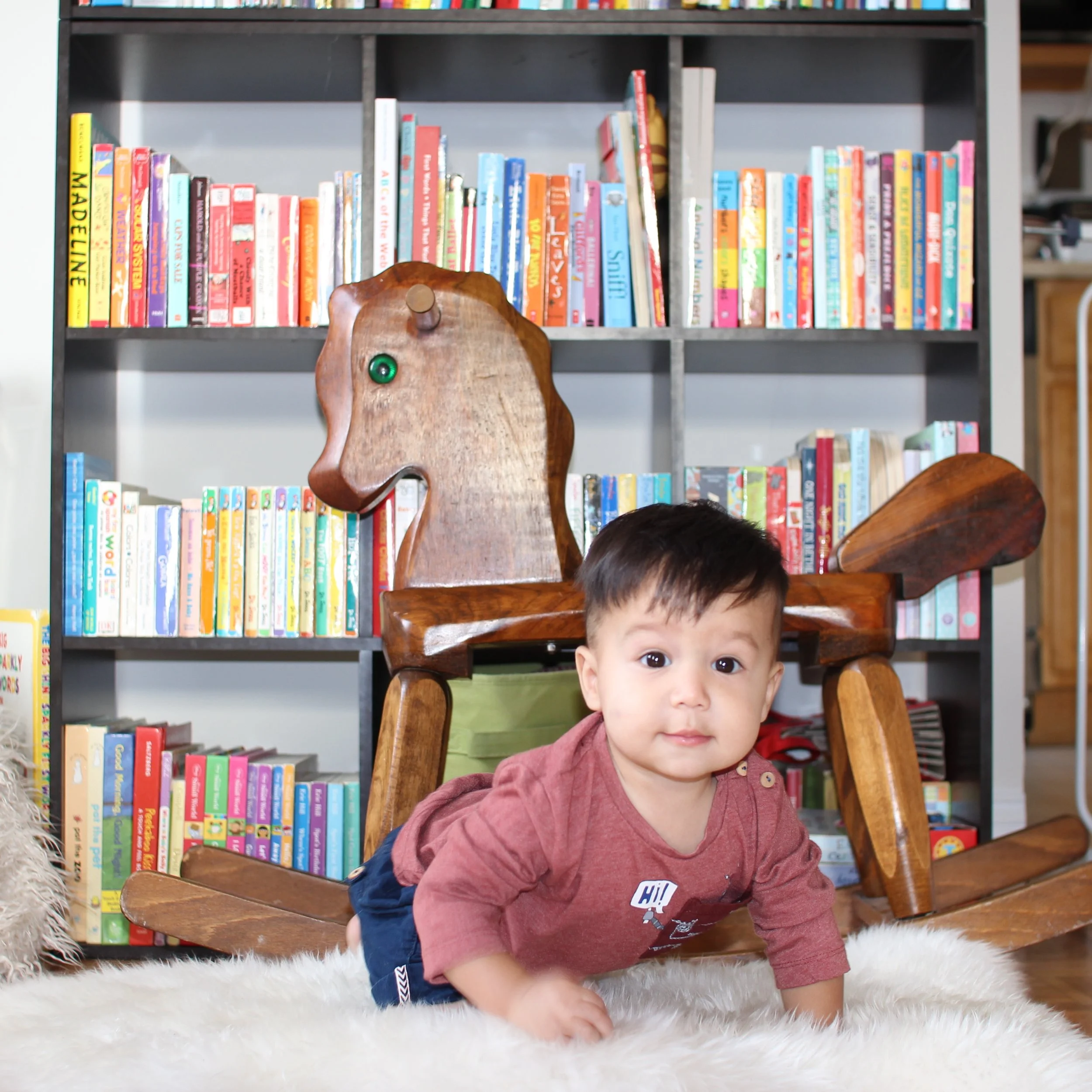 48 weeks old