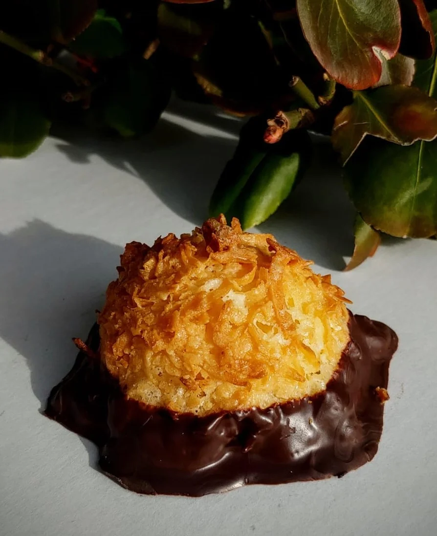 1choccoconutmacaroon.jpeg