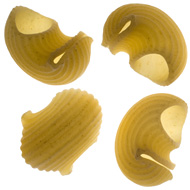 conchiglie.jpg