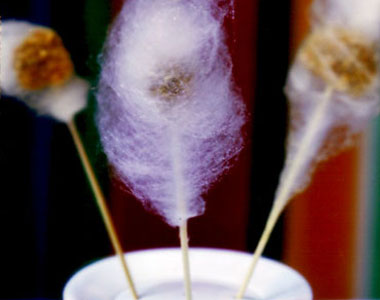 cotton-candy-plate.jpg