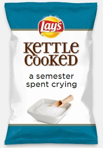 lays-do-us-a-flavor-parodies-26-a-semester-spent-crying.jpg
