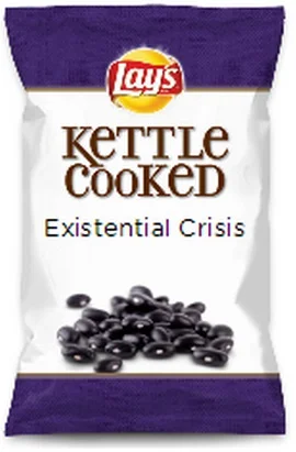 lays-do-us-a-flavor-parodies-29-existential-crisis.jpg