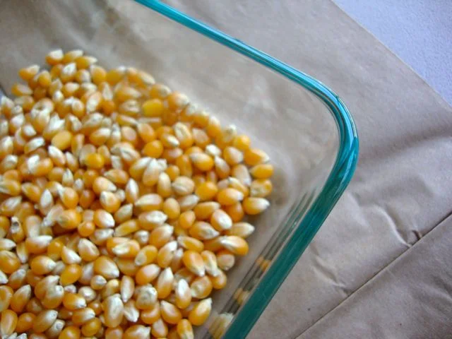 glasskernels.jpg