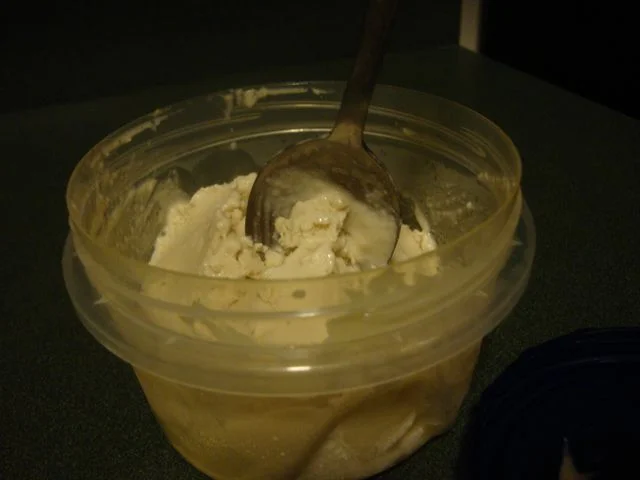 icecreamcontainer.jpg