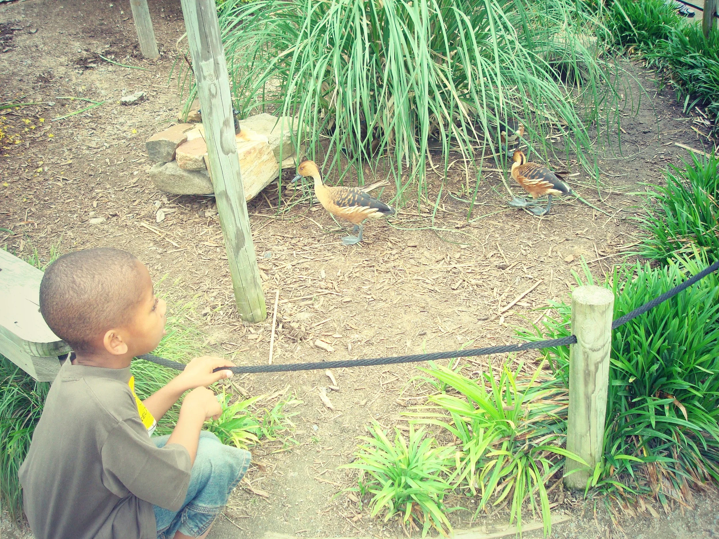 zoo2sept2013.jpg