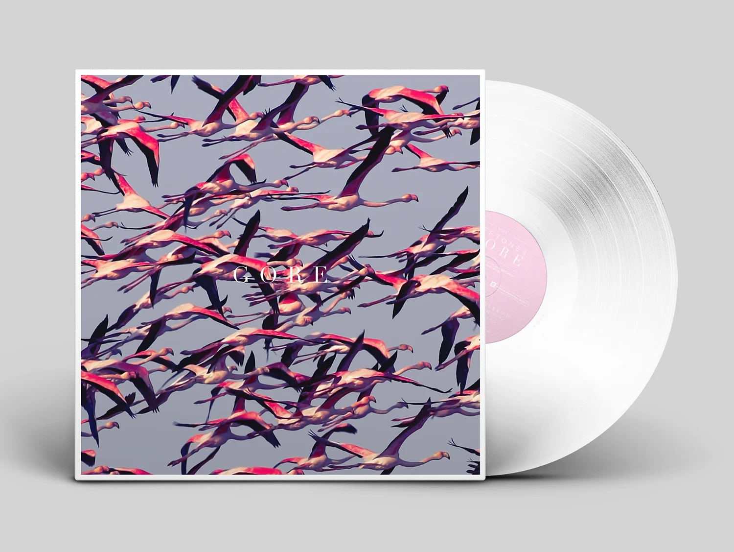 Vinyl Record Cover MOCK.jpg