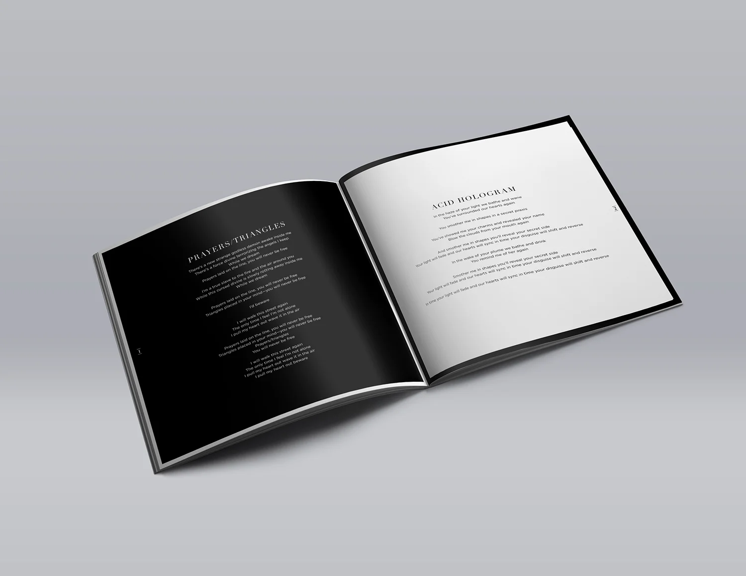 Booklet Spread mockup.jpg