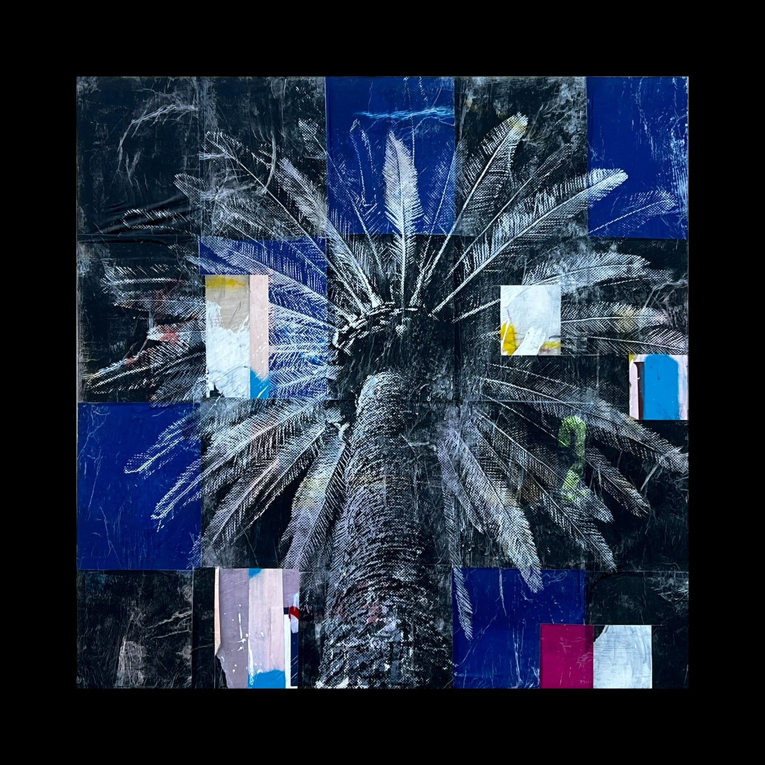 large palm.jpg