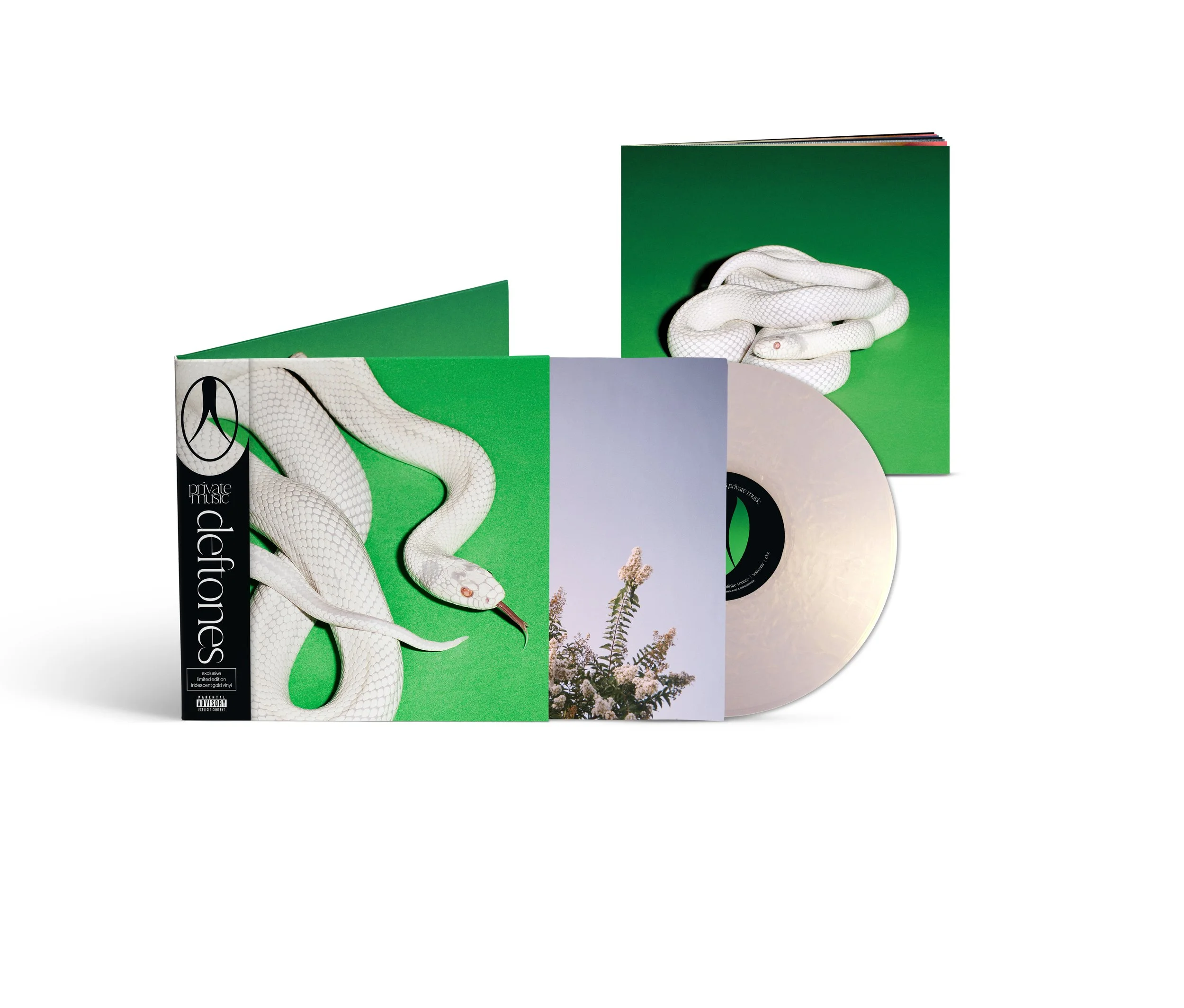 DT_PM_D2C_GATEFOLD VINYL PACKSHOT.jpg