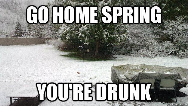 Drunk go home. Memes about Spring. Спринг Дринк. Funny Spring. Spring Мем.