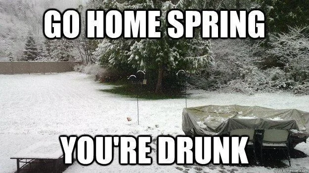 "Spring" in Boulder