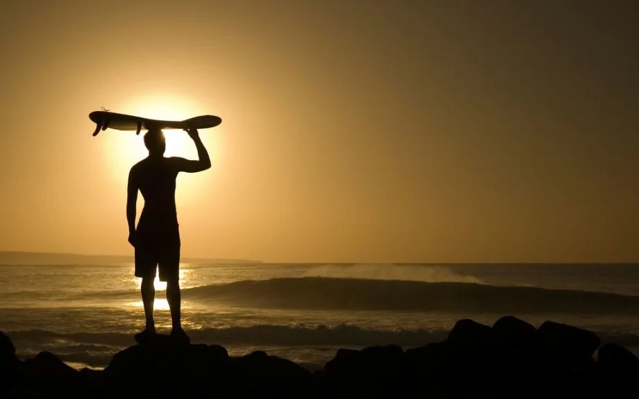 Got Surf?