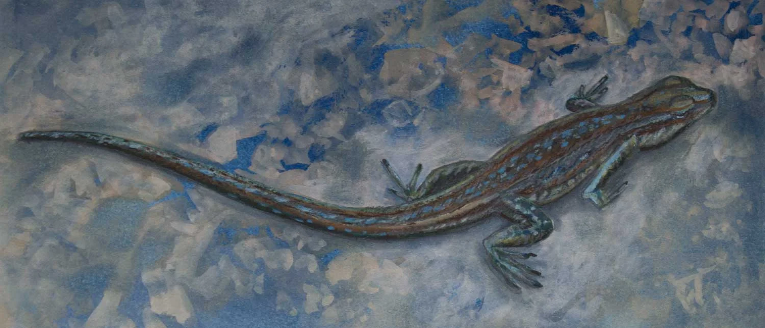 Lizard. Mixed media on cyanotype print