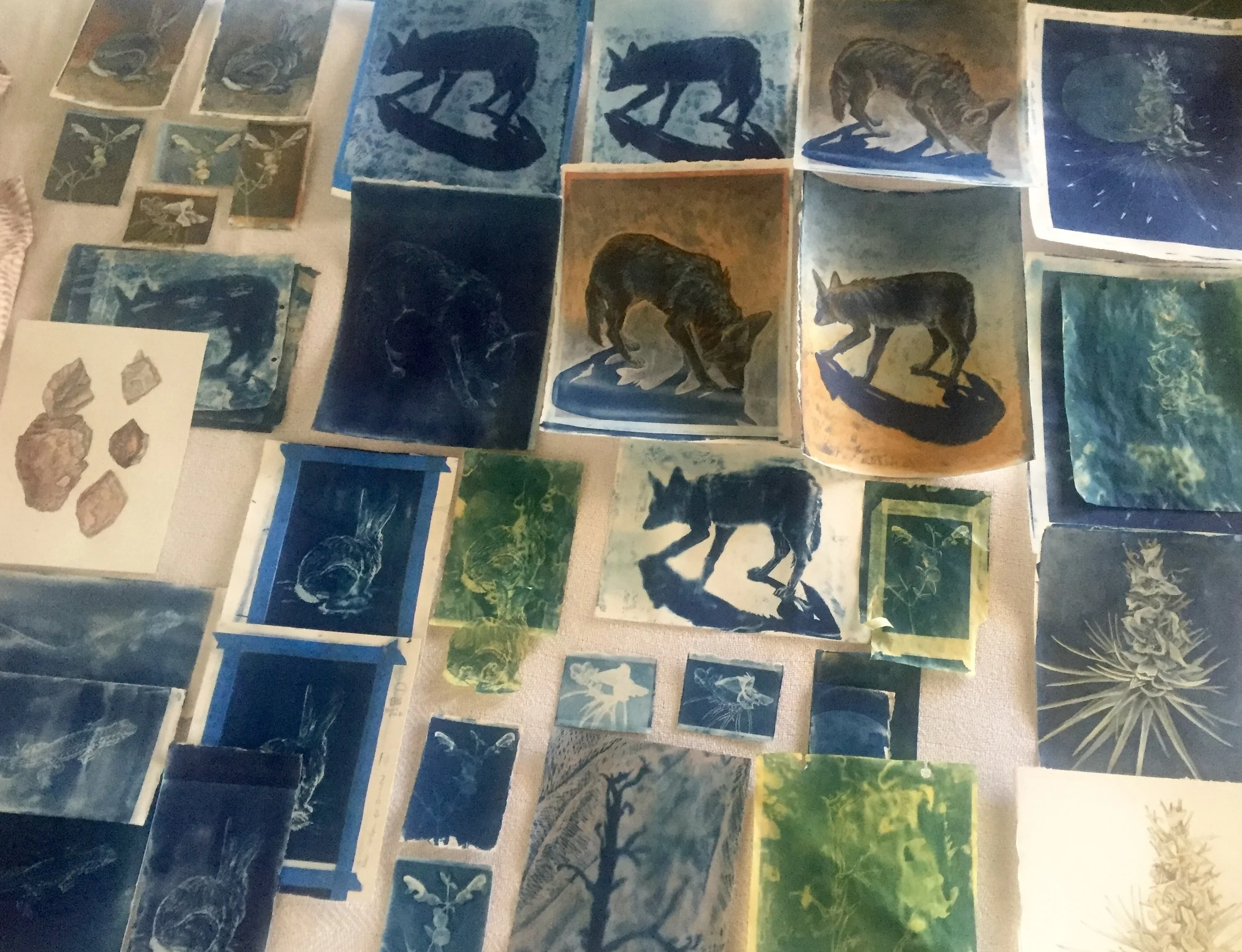 Packing up my work from Joshua Tree