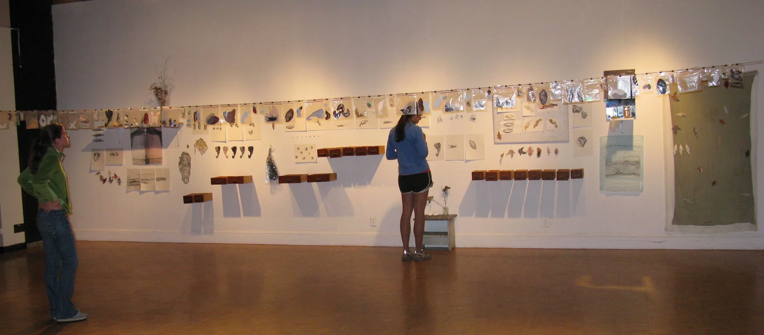 Installation of my undergraduate thesis in Studio Art