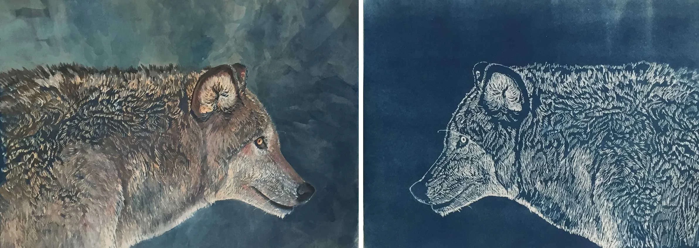 Wolves. Both are 9 x 12" The left image is a print with gouache and colored pencil. The right image is the plain print.