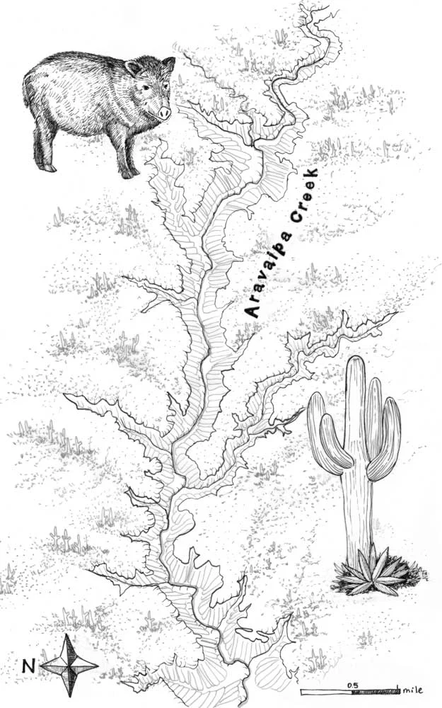 SIHC_Aravaipa.jpg