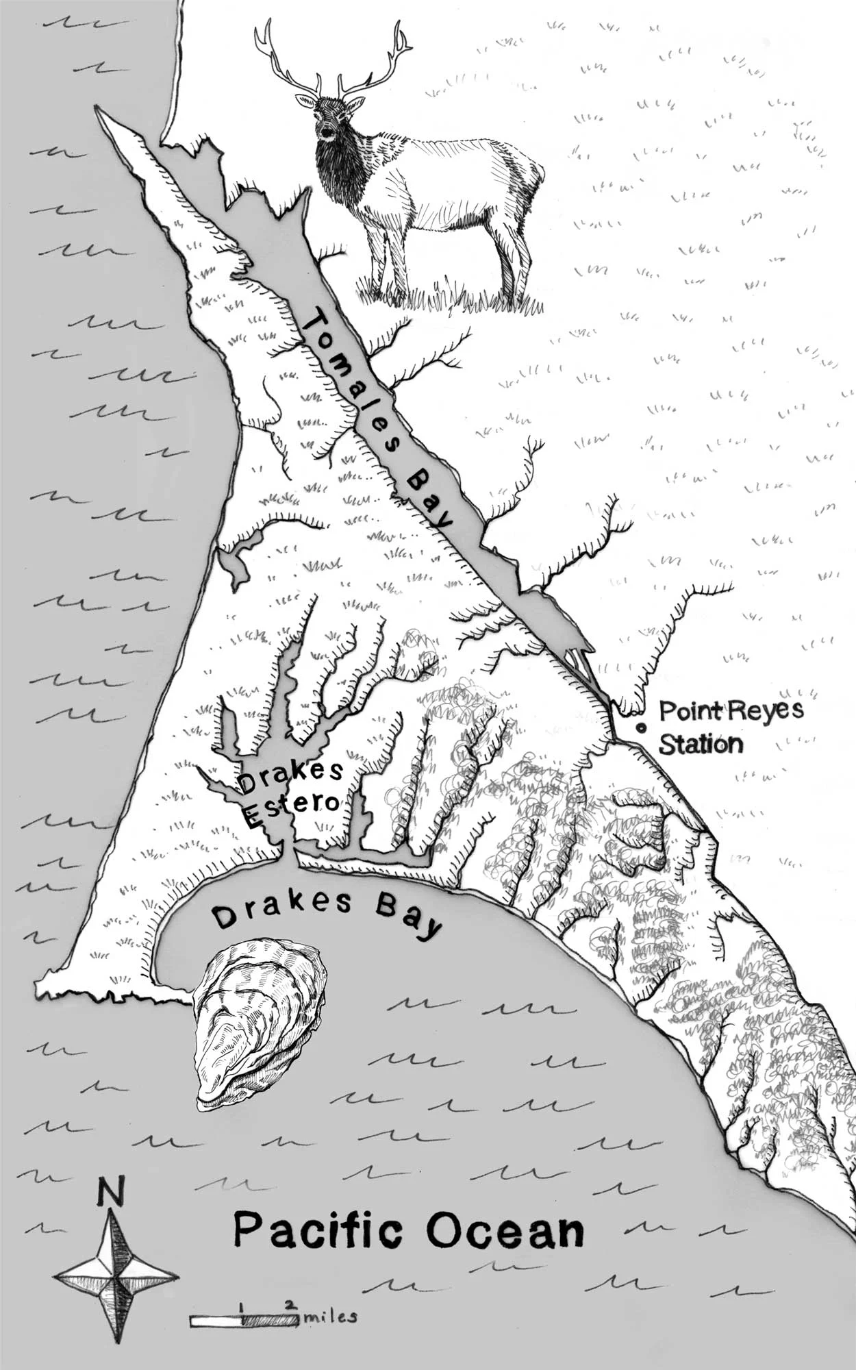 SIHC_Point_Reyes.jpg