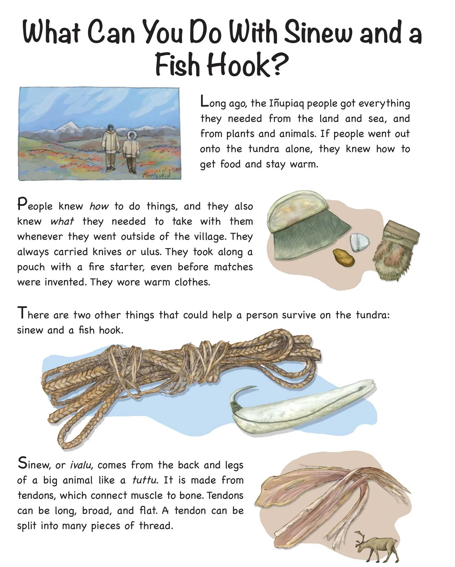 NSB_SinewFishHook.jpg